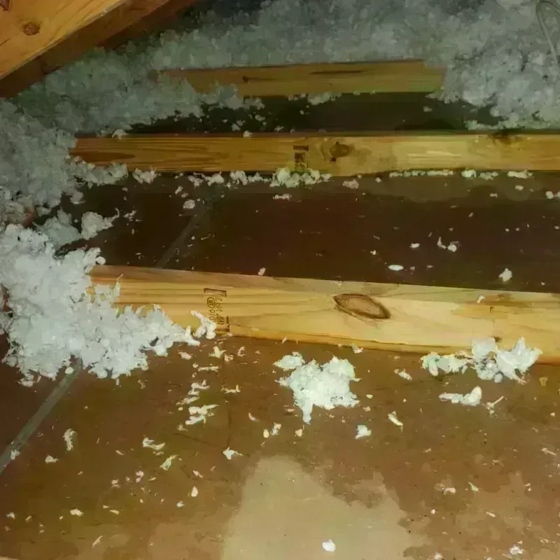 Attic Water Damage in Shattuck, OK